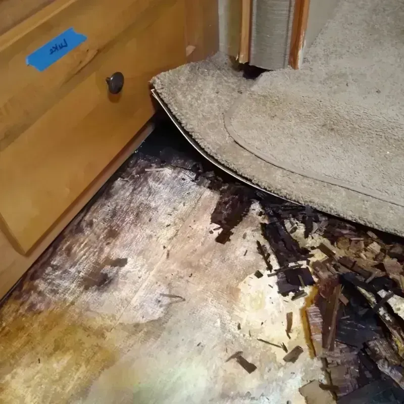 Best Wood Floor Water Damage Service in Northbrook, IL